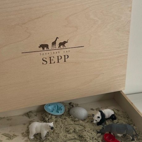 Houten speelbak met naam thema wilde dieren